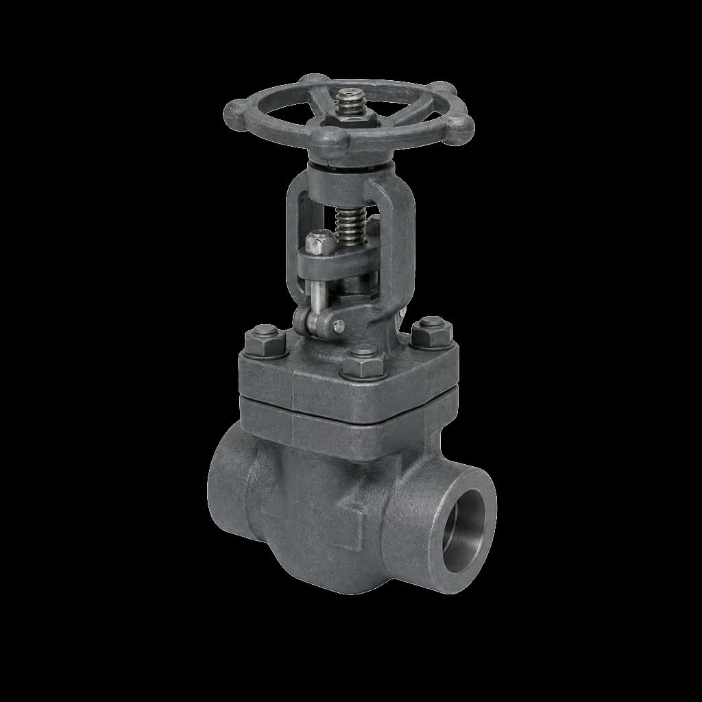 DL Forged Gate Valves — representative image